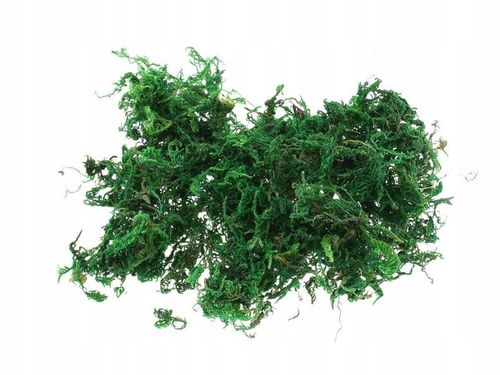 ZESTAW STARTOWY DO LASU W SZKLE KOMPLETNY 12 elementów MEGA DUŻY XXL na Arena.pl