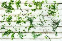 Tło fotograficzne Produktowe FLAT LAT Kulinarne