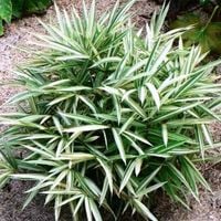 product-compare-61062939