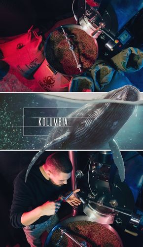 Kawa Ziarnista Świeżo Palona 100% Arabica Kolumbia 1KG Do Ekspresu na Arena.pl