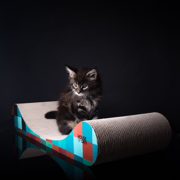 Drapak dla kotów Sofa Drapak dla kota Cube Comfort Plus zdjęcie 4