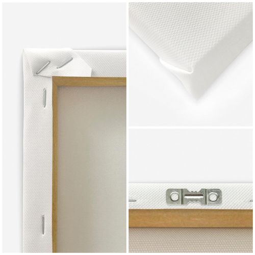 Obraz na płótnie - Canvas, Biała piwonia 60x90 na Arena.pl