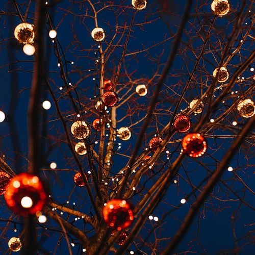 Lampki choinkowe 2016 LED 14,5 m na Arena.pl