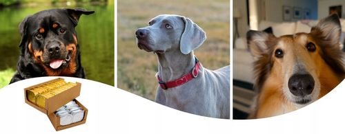 Karma Mokra dla Psa Tacka duży Pakiet Ekonomiczny 36 szt. x 300g 10,8 kg na Arena.pl