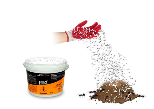 SILNY PROSZEK ŚRODEK PREPARAT NA MRÓWKI GNIAZDA MRÓWEK MROWISKA 1KG EFFECT na Arena.pl