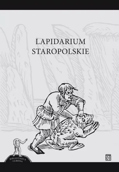 Lapidarium staropolskie zdjęcie 1