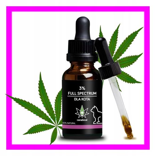 Olejek CBD Full Spectrum 3% 10 ml dla Kotka Kota od farmaceuty bezpieczny na Arena.pl
