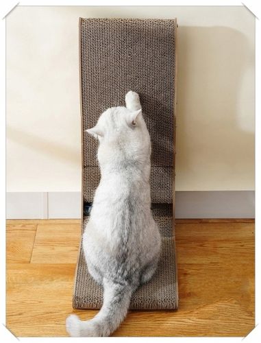 Drapak Narożny Dla Kota Kotów Zabawka z Piłką na Arena.pl