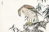 Plakat 45x30cm Osprey, Kashu Japoński Vintage do Salonu