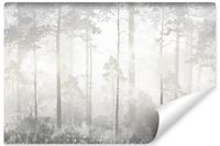 Fototapeta Mglisty Las Pejzaż Natura Drzewa Abstrakcja 400cm x 280cm