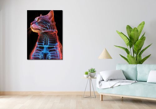 Obraz 70x100cm Anatomia Kota na Arena.pl