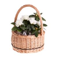 Wiklinowy kosz prezentowy okrągły kosz na owoce z rączką w 4 rozmiarach uniwersalny