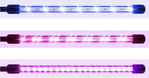 4 x Lampa do Wzrostu Roślin 80 LED do Poczwórny Panel Uprawy Timer + Pilot na Arena.pl