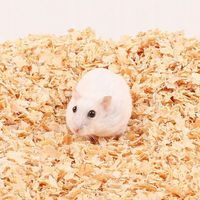 TROCINY ODPYLONE 200L 9KG WIÓRKI DLA GRYZONI CHOMIKA ŚWINKI KONI KRÓLIKÓW