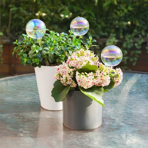 10x KULE NAWADNIAJĄCE DO KWIATÓW ROŚLIN AUTOMATYCZNY DOZOWNIK WODY na Arena.pl