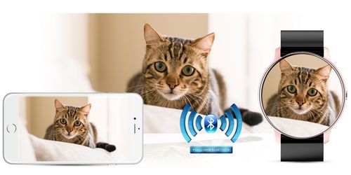 Smartwatch Damski Gravity GT1-2 na Arena.pl