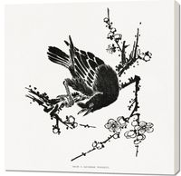 product-compare-59600006