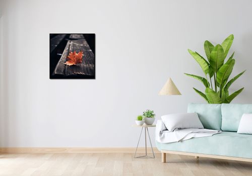 Plakat 60x60cm Pojedynczy Liść na Arena.pl