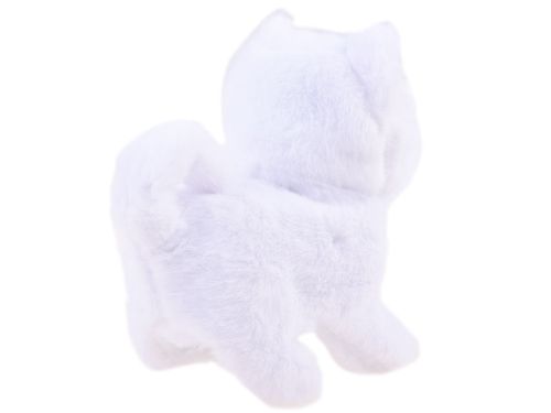 BIAŁY KOTEK PSOTEK SZUKA MAMY na Arena.pl