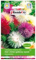 NASIONA Kwiatów Aster Chiński Igiełkowy Mieszanka MIX Wysoki Kwiaty 410404