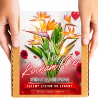 PREZENT NA WALENTYNKI STRELICJA KRÓLEWSKA DLA NIEJ DLA NIEGO RAJSKI PTAK