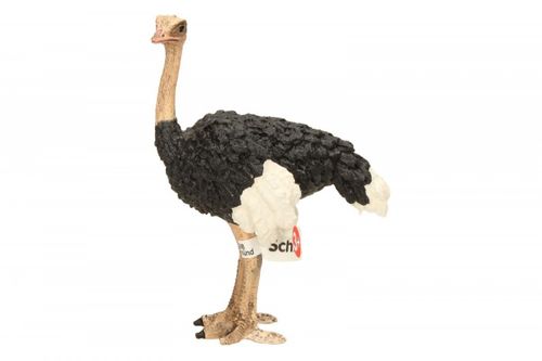 Schleich Struś na Arena.pl