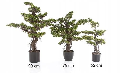 sztuczne drzewko BONSAI LARCH 48x35 modrzew w ceramicznej czarnej doniczce na Arena.pl