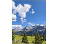 40X50CM WIDOK ALPY TAMBAKO THE JAGUAR OBRAZ