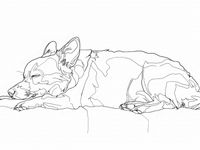 product-compare-59424120