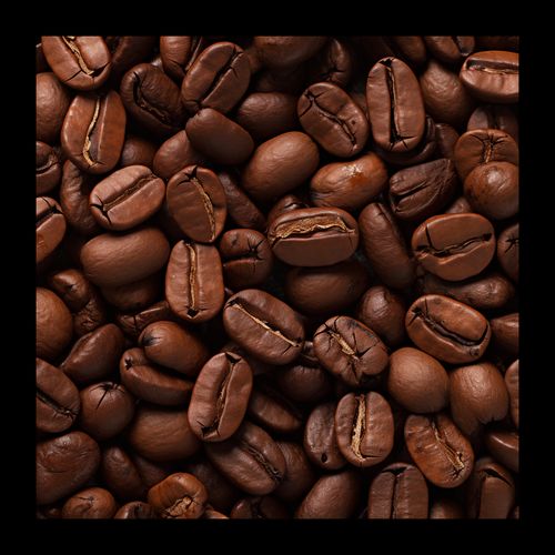 Plakat 20x20cm Esencja Aromatu na Arena.pl