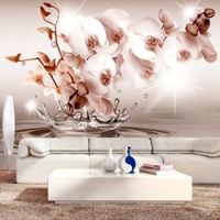 product-compare-63633502