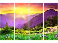 product-compare-58698584