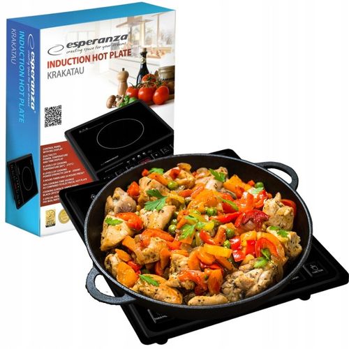 PŁYTA INDUKCYJNA KUCHENKA ELEKTRYCZNA 2000W TIMER na Arena.pl