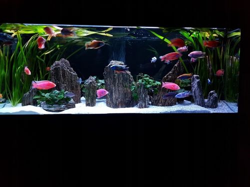 24kg Piasek Kwarcowy Biały do Akwarium 0,5-1mm na Arena.pl