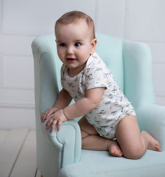 Body z krótkim rękawem Ptaszki 68 zdjęcie 2