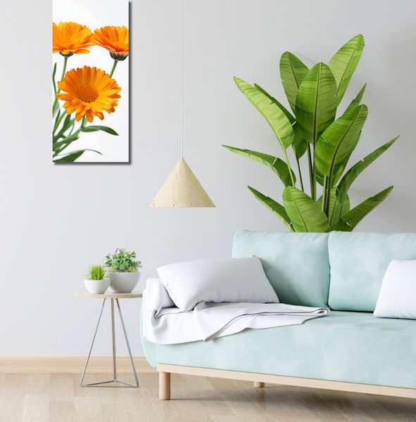 Obraz 30x70cm Słoneczne Kalendule zdjęcie 2