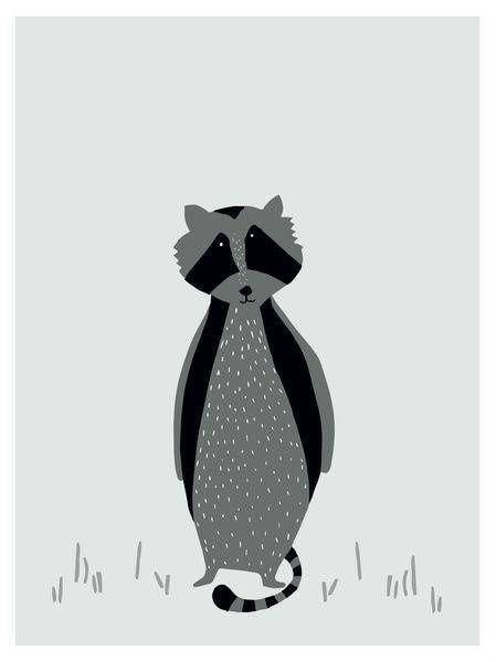 Mr.Raccoon Plakat UPOMINKARNIA zdjęcie 1