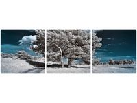 90X30CM SILNE DRZEWA TRÓJ OBRAZ