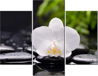 product-compare-58710575