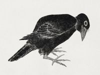 product-compare-59604092