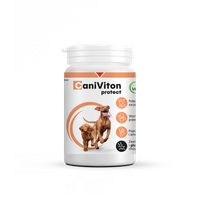 vetoquinol caniviton protect 90szt