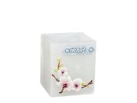 lampion 115/100 KWADRAT ORCHIDEA BIAŁY