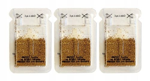 TRUTKA NA MRÓWKI FARAONA KARMNIK Z GRANULATEM PROTECT NEWPEST 3 SZTUKI na Arena.pl