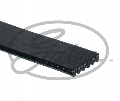 PASEK W/KLINOWY 6PK2213 GATES na Arena.pl