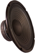 Głośnik Fonics 10 Cali HW 1000 8ohm