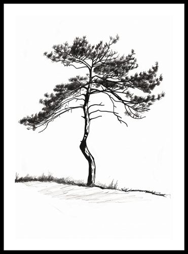 Plakat 42x59,4cm Samotna Sosna na Arena.pl