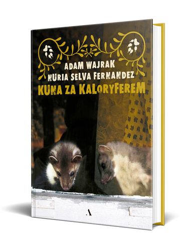 Kuna za kaloryferem na Arena.pl