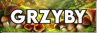 BANER reklamowy zewnętrzny leśne GRZYBY płot ogrodzenie stelaż 150cm