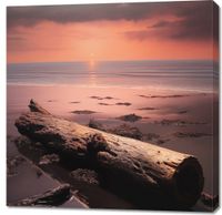 product-compare-59476910