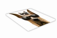 SZKLANA DESKA KUCHENNA 40x40 463h Doberman i kot